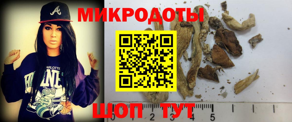 Галлюциногенные грибы прущие грибы  Псилоцибиновые грибы Cubensis  Вход с VPN  Лениногорск 